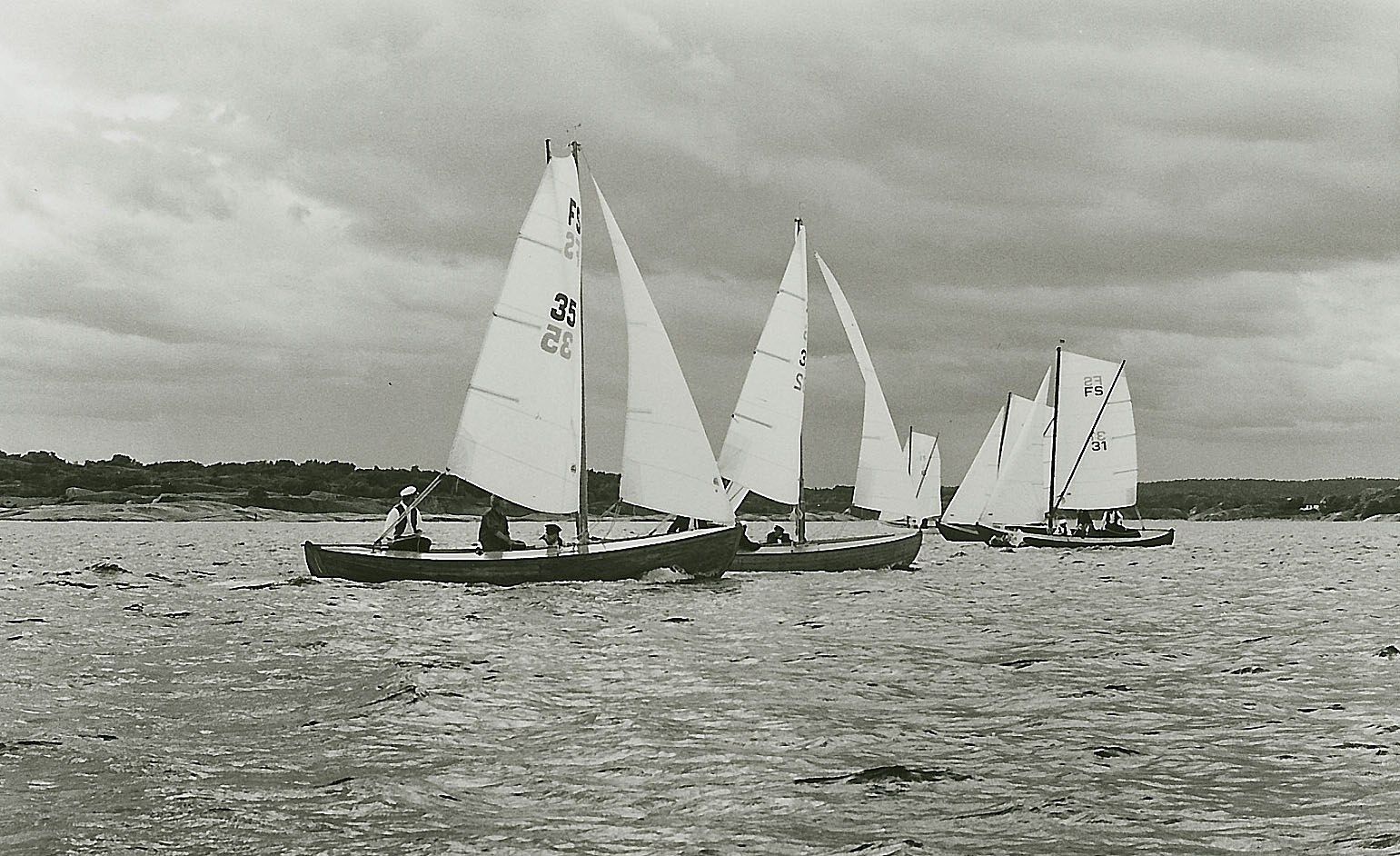 imm010.jpg