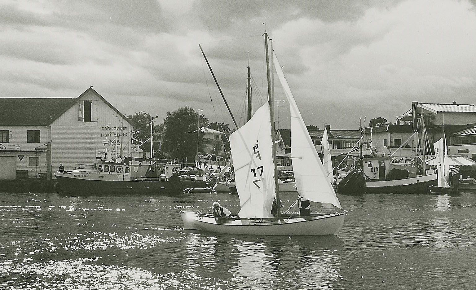 imm012.jpg