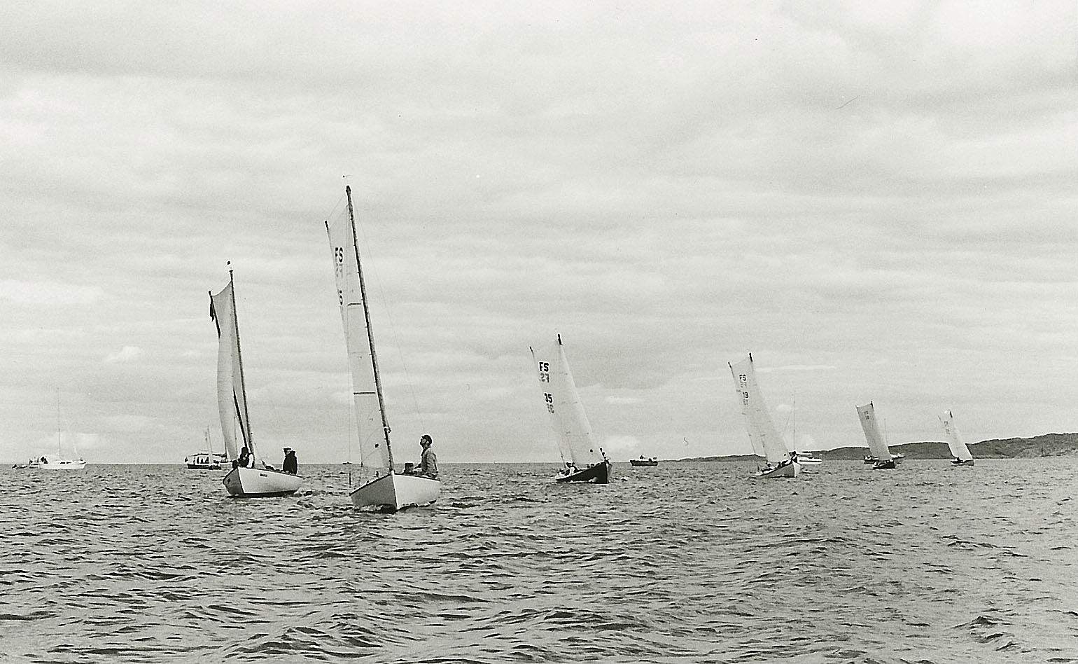 imm017.jpg