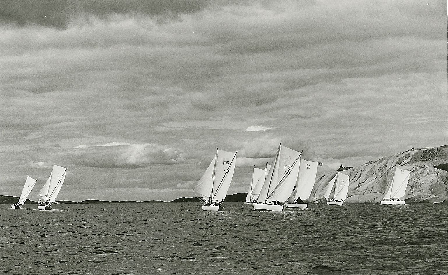 imm019.jpg