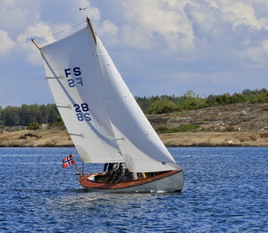 fs28 9 resize