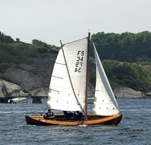 fs34 2 resize