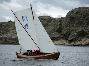 fs36 5 resize